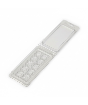 Clamshell Spring flower