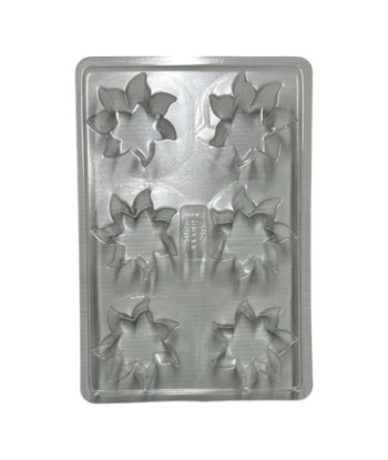 Moule fondants - Edelweiss