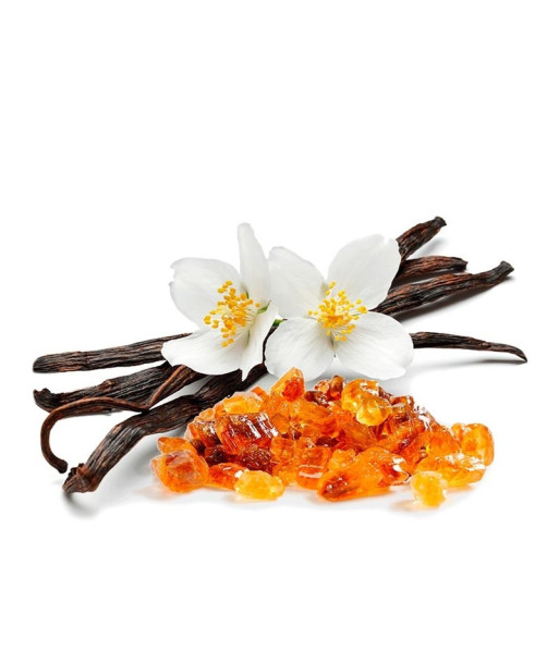 Parfum - Ambre Vanille