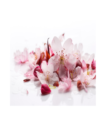 Parfum - Fleur de cerisier