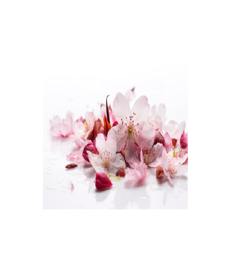 Parfum - Fleur de cerisier