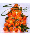 Parfum - Orange garland