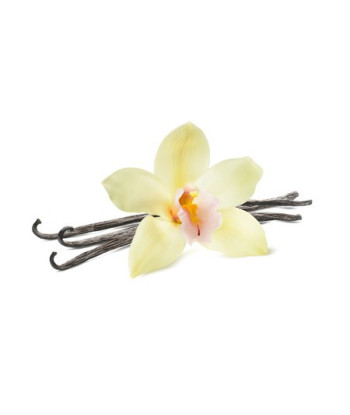 Parfum - Orchidée Vanille