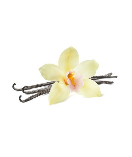 Parfum - Orchidée Vanille