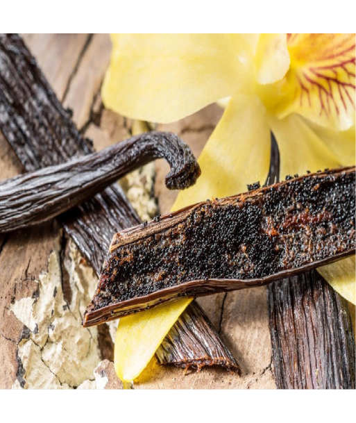 Parfum - Vanille Gourmand,Home,Shope