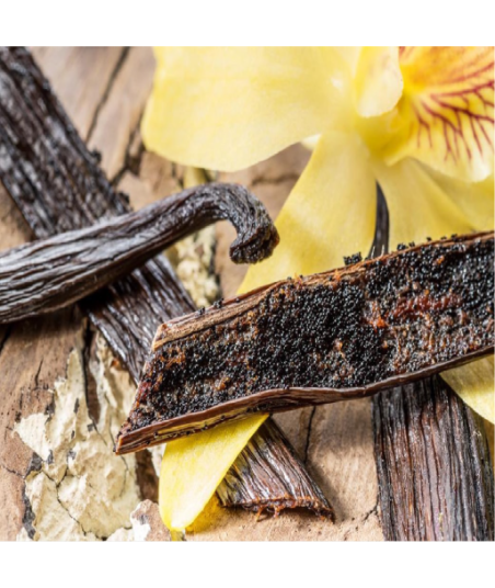 Parfum - Vanille Gourmand,Home,Shope