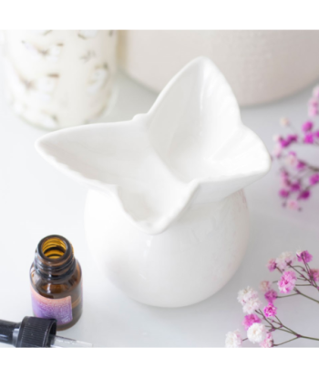 Brûleur - Papillon blanc