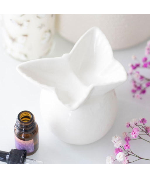 Brûleur - Papillon blanc